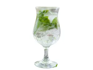 Mojito Mint